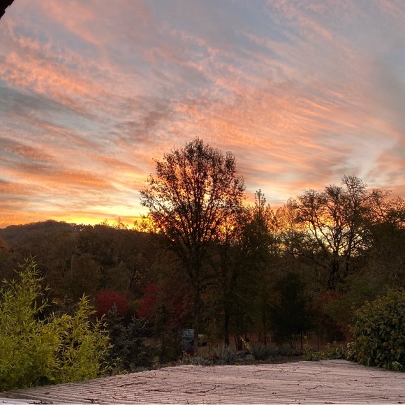 Meet your Posher, Gloria - Picture 3 of 5